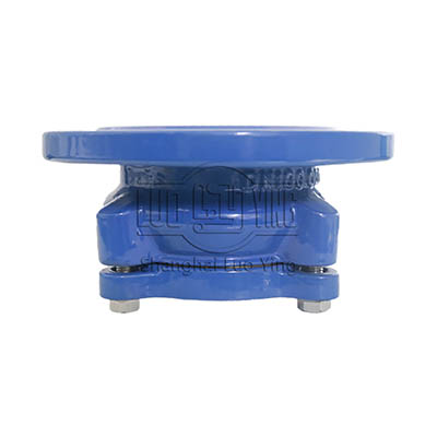 PE-Special flange adaptor